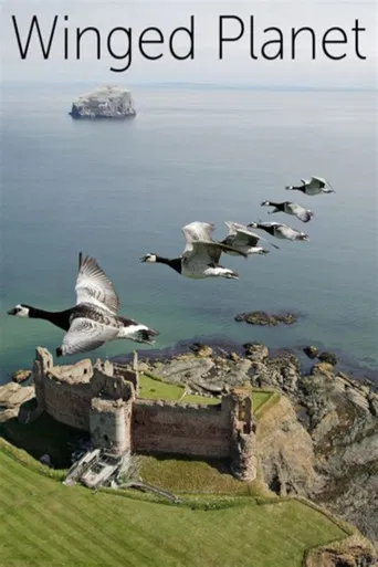 Winged Planet poster