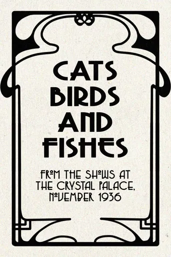 Cats, Birds and Fishes poster