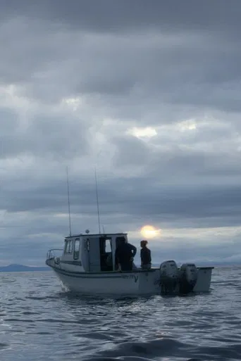 Some Saturdays poster