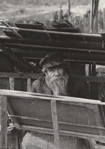 Ivan Selivanov poster