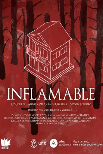 Inflamable poster