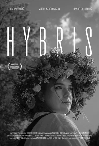 Hybris poster