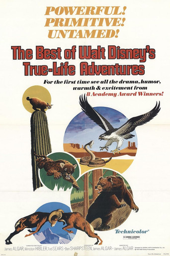 True-Life Adventures Collection poster