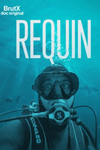 Requin poster