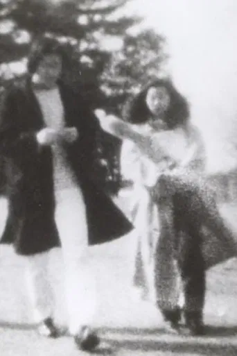 ピクニック poster