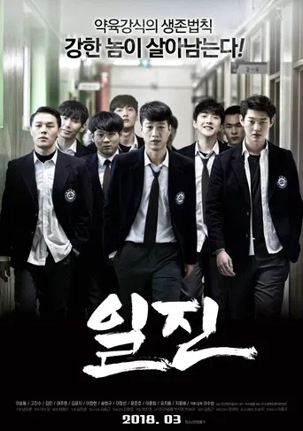 Bullies poster