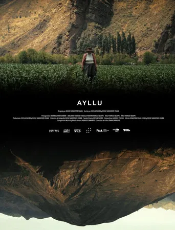 Ayllú poster