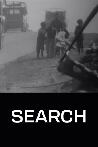 The Search poster