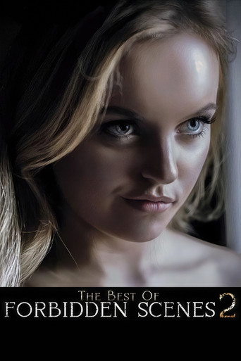 The Best of Forbidden Scenes 2 poster