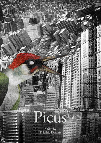 Picus poster