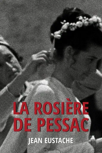 The Virgin of Pessac poster