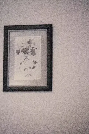 15 do 12 / meu aniversário / viajo sozinho poster