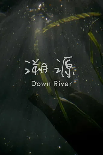Down River poster