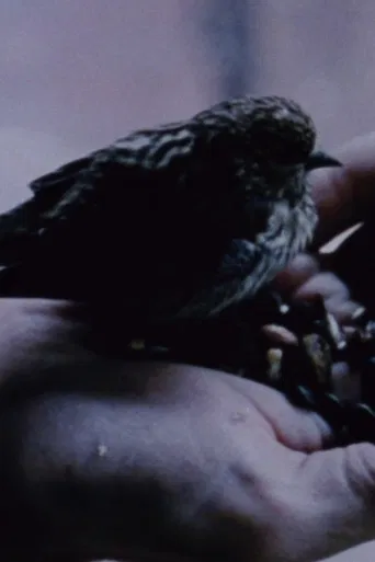 Gathering Moss poster