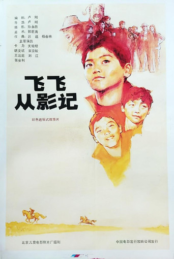 飞飞从影记 poster
