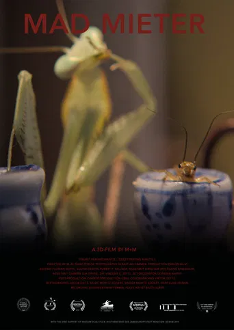 Mad Mieter poster