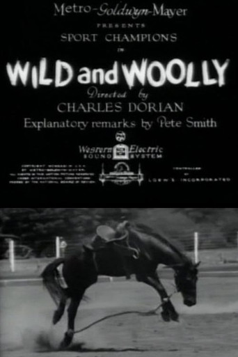 Wild and Woolly poster