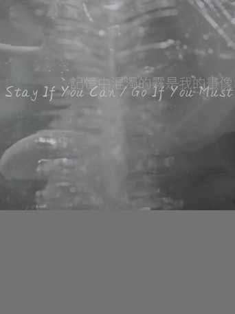 Stay If You Can / Go If You Must poster