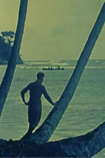 Tropical Nights poster