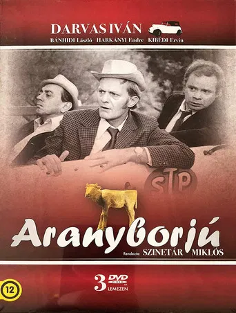 Aranyborjú poster