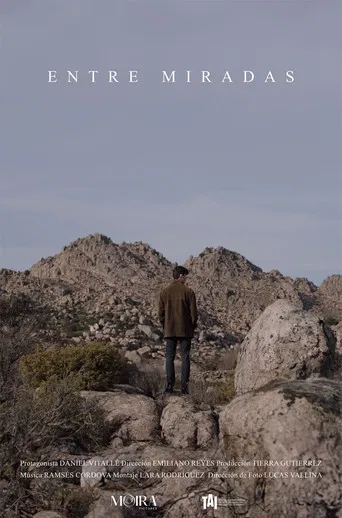 Entre miradas poster