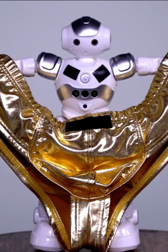 When Panties Fly poster