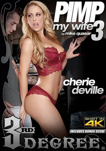 Pimp My Wife 3 poster