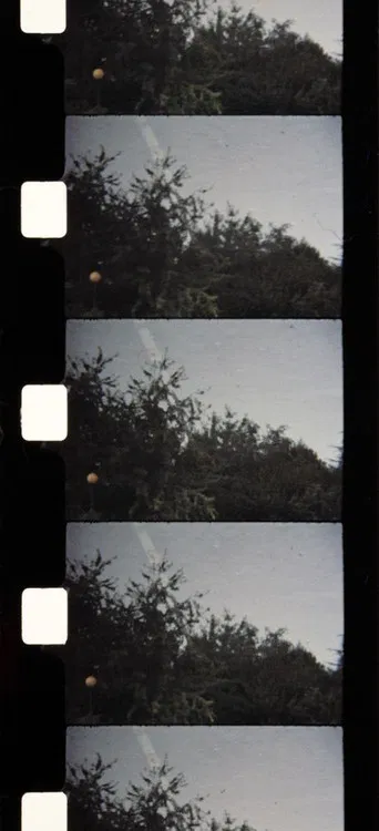 Soleil d'Automne poster