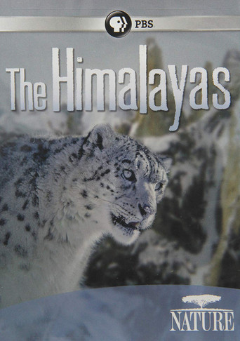 The Himalayas poster
