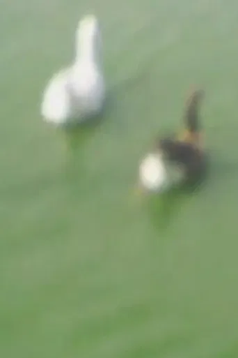 L'état de notre urgence 4 poster