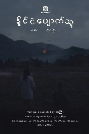 My Lost Nation poster