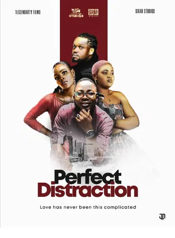 Perfect Distraction poster