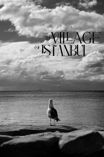 The Village of Istanbul poster