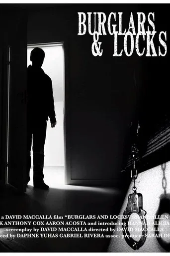 Burglars & Locks poster