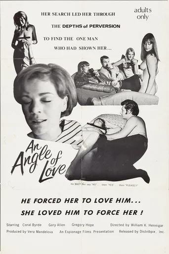 An Angle of Love poster