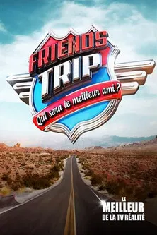 Friends Trip poster