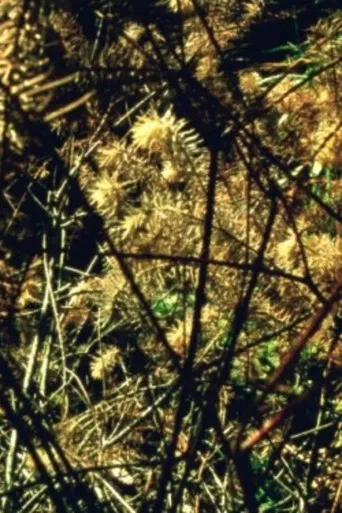 Arboretum Cycle poster