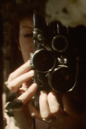 Poems and Constructions poster