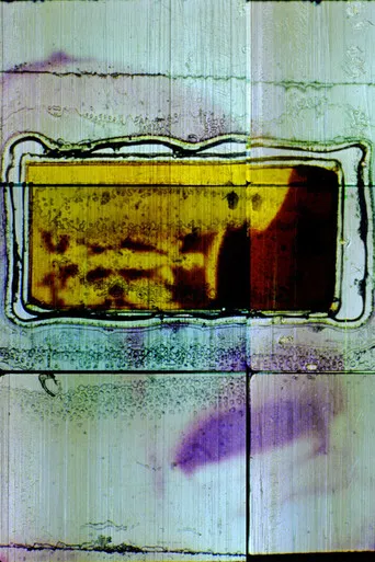 What Is Nothing (After What Is Nothing) poster