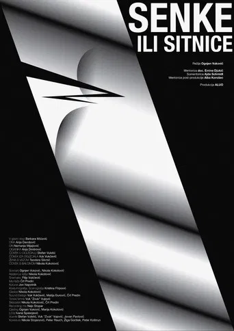 Shadows and Minutiae poster