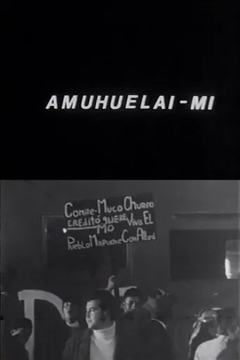 Amuhuelai-mi poster