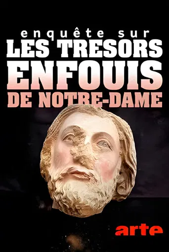 Enquête sur les trésors enfouis de Notre-Dame de Paris poster