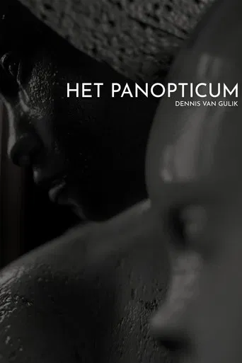 Het Panopticum poster