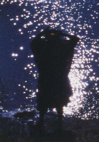 Woman with Flowers poster