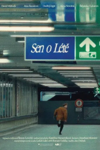 Dream of Summer poster