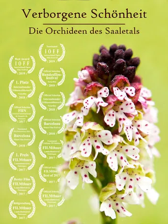 Hidden Beauty - The Orchids of the Saale Valley poster
