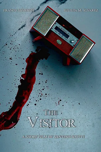 The Visitor poster