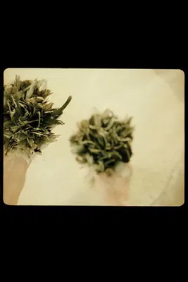 cum pane – the one you share your bread with poster