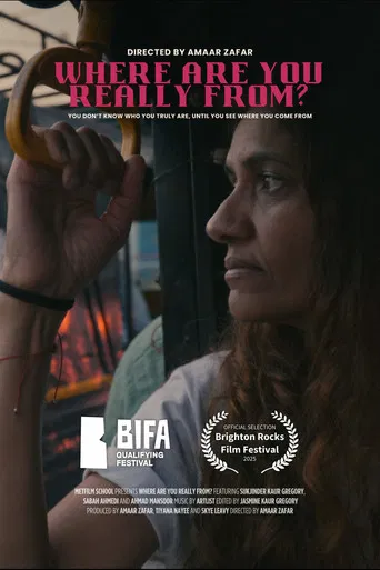 Where Are You Really From? poster