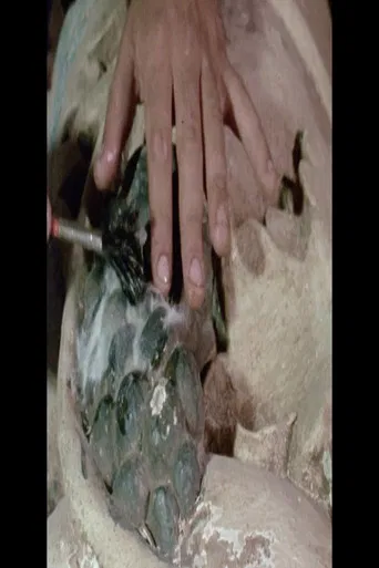 Dos Reis Magos dos Tupiniquins poster